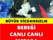 Canlı canlı gömülen bebeği öğrenciler buldu