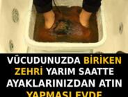 Vücudunuzdan Zehri Atmanın En Pratik Ve Kolay Yolu… Bir Gecede Vücudunuzdan Bütün Zehri Atın!