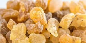 Sizde de iltihaplı eklem romatizması, sıt ve eklem ağrıları, kireçlenme ve hareket kısıtlığı gibi problemleriniz varsa bu bitki tam sizlik