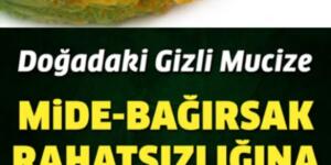 Sindirim sistemi hastalıklarında akla ilk gelen bu doğal ilacı deneyip şaşırmaya hazır mıyııız?