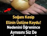 Soğanı Kesip Elinin Üstüne Koydu. Nedenini Öğrenince Aynısını Siz De Yapacaksınız