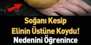 Soğanı Kesip Elinin Üstüne Koydu. Nedenini Öğrenince Aynısını Siz De Yapacaksınız