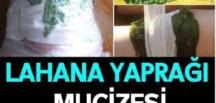 LAHANA YAPRAĞI MUCİZESİ… BAKIN NEYMİŞ…