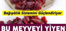 Bu meyveyi yiyen antibiyotik kullanmıyor! (Turna yemişi nedir?)