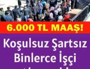 KPSS şartsız İŞKUR en az 6 bin TL maaşlı personel alımı yapıyor! 2021 İŞKUR personel ve memur alımı güncel iş ilanları yayınlandı