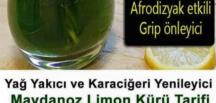 İbrahim Saraçoğlu Maydonoz Limon Kürü