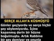 Günün hikayesi: Serçe Allah’a Küsmüştü