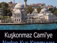 Kuşkonmaz Cami’ye neden kuş konmuyor?