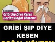 Gribi şıp diye kesen harika doğal yöntem!