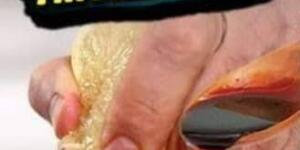 Pekmeze limon sıkıp aç karnına yerseniz…mucize faydasına şahit olun