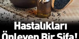 Çörek Otunun Faydaları ve Kullanımı