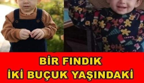 Fındık, 2,5 yaşındaki Mehmet’i hayattan kopardı