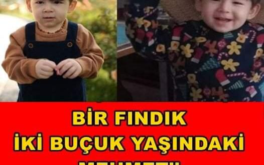 Fındık, 2,5 yaşındaki Mehmet’i hayattan kopardı
