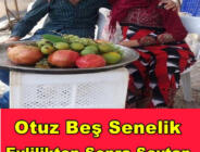 Otuz beş senelik evlilikten sonra şeytan dürttü galiba.