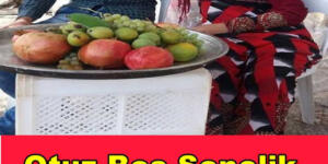 Otuz beş senelik evlilikten sonra şeytan dürttü galiba.