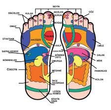 Ayaklarınızı koyacağınız kabı ılık suyla doldurun ve zencefil ve oksijenli suyu ekleyin, ardından vücudunuzdan toksinleri çıkarmak için 30 dakika süreyle ayaklarınızın suyu emmesini bekleyin. Tüm bu ayak detokslarından size en uygun olanı seçerek uygulamaya başlayın.
