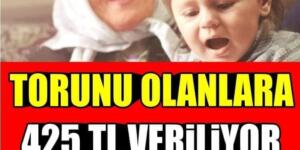 Torun sahiplerine 425 liralık destek!
