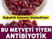 Vücudumuzu Mikroplardan Arındıran 10 Doğal Antibiyotik