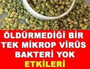 ÖLDÜRMEDİĞİ BİR TEK MİKROP VİRÜS BAKTERİ YOK..Etkileri Doktorları bile şaşırtıyor.Mucize gibi