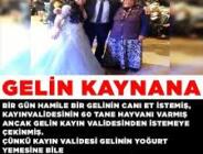 HAMİLE GELİN – VE KAYNANA