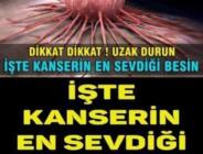 İşte Kanserin En Sevdiği Besin!