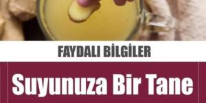 Migren ağrısına iyi gelen besinler