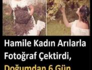 Hamileyken arılarla fotoğraf çektirdi. Doğumdan 6 gün önce gelen haberle yıkıldı!