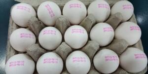 yumurta nasıl anlaşılır? Yumurta üzerindeki kodlar ne anlama gelir?