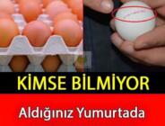 Lütfen Önce Buna Bakın! Yumurta Üstündeki Sayı 3 İle Başlıyorsa…