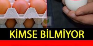 Lütfen Önce Buna Bakın! Yumurta Üstündeki Sayı 3 İle Başlıyorsa…