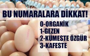Gıda Tarım ve Hayvancılık Bakanlığı Türk Gıda Kodeksi Yumurta Tebliği'nin Resmi Gazete'de yayımlanmasının ardından yumurta üreticileri, "yetiştirme m
