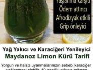 Prof. Dr. Saraçoğlu: “Karaciğer için maydanoz limon kürü” “Kronik yorgunluk ve sivilce gibi şikayetlerin temelinde karaciğer yatıyor”