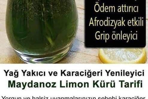 Prof. Dr. Saraçoğlu: “Karaciğer için maydanoz limon kürü” “Kronik yorgunluk ve sivilce gibi şikayetlerin temelinde karaciğer yatıyor”