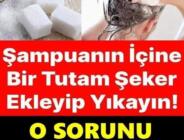 Şampuana şeker eklediğinizde bakın neler oluyor