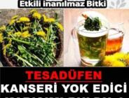 KEMOTERAPİDEN 100 KAT DAHA ETKİLİ İNANILMAZ BİTKİ :