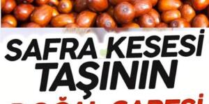 Safra Kesesi Taşına Bitkisel Çözüm