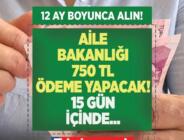 Aile Bakanlığı 715 TL ödeme yapıyor! 15 gün içinde şifreyle PTT’den alın!