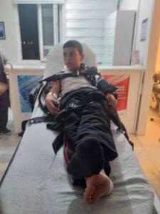 Adilcevaz ilçesinin Göldüzü köyünde, 10 yaşındaki Mustafa Erçetin ile 9 yaşındaki Polat Ergün sokak köpeklerinin saldırısına uğramıştı. İlk müdahalesi Adilcevaz Onkoloji Hastanesi'nde yapılan Mustafa Erçetin, kuduz şüphesiyle Ankara Hacettepe Üniversitesi Hastanesi'ne sevk edilmişti. Yoğun bakım ünitesinde tedavi gören Erçetin, tüm müdahalelere rağmen kurtarılamadı. Hacettepe Üniversitesi Tıp Fakültesi'nden yapılan yazılı açıklamada şu sözler yer aldı: