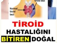 Zencefil Suyu İle Tiroidin Yan Etkisiz Tedavisi +