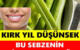 Kırk Yıl Düşünsek Bu Sebzenin Dişleri Beyazlatacağı Akla Gelmezdi