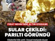 Sular çekildi, parıltılar ortaya çıktı: Altını duyan herkes didik didik etti
