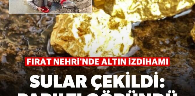 resim