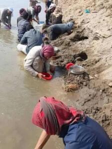 köylerinde Fırat kıyısında altın parçaları bulunduğuna dair söylentilerin yayılması üzerine bazı köylülerin nehir kıyısında rastgele arama yapmaya başladığını ifade etti.
