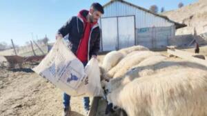 ÇOBAN ADEM’İN BAŞARI HİKAYESİ
Dersim’de zorlu bir yaşamın arasından, ailesine ait koyun sürüsüne çobanlık yaparak eğitim hayatını sürdüren Adem Aydın, çocukluk hayali olan hukuk fakültesini okuyor.
Sarıbalta köyünde yaşayan Adem Aydın, hayvancılıkla uğraşan ailesinin yanında çocukluğundan itibaren hem çobanlık yaptı, hem de hiçbir özel ders almadan hayalini gerçekleştirerek eğitimini sürdürdü. İlkokul eğitimini köyündeki okulda gören Aydın, orta öğrenimini ise Elazığ Mehmet Koloğlu Anadolu Lisesi’nde tamamladı. Ardından ülke genelinde ilk 3 bine giren ve hayali olan İstanbul Üniversitesi Hukuk Fakültesi’ne yerleşen Aydın, şuanda 4. sınıfta eğitim hayatını sürdürüyor. Covid-19 pandemisi nedeniyle köyünde olan zor şartlara rağmen, koyun sürüsü önünde ders çalışarak sınavlara hazırlanan 21 yaşındaki Adem Aydın, “savcı” olma hayalini gerçekleştirmek için çaba göstermeyi sürdürüyor. Bu yıl mezun olduktan sonra hakim ve savcılık sınavlarına girmeyi planlayan Aydın, hayaline kavuşmanın planlarını yapıyor.
Küçüklüğünden beri eğitim konusunda sürekli idealleri ve hayalleri olduğunu aktaran Hukuk Fakültesi 4’üncü sınıf öğrencisi Adem Aydın, “Ben Çemişgezek ilçesi Sarıbalta köyünde yaşıyorum. Küçüklüğünden beri ailemle birlikte küçükbaş hayvancılık yapıyoruz. Kendimi bildim bileli biz bu işin içerisindeyiz. Küçüklüğümden beri eğitim konusunda hayallerim olmuştur. Hukuk okumak ve savcı olmak istiyordum. Şimdi bu yolda kendimi geliştirerek en yüksek dereceye kadar ilerlemek istiyorum. Köyümüzdeki okulda ilk ve ortaokul eğitimimi tamamladım. Sonra Elazığ Mehmet Koloğlu Anadolu Lisesinde lise eğitimimi tamamladım. Köye geldiğimde yine işimizi yapar, işimizin yanında eğitimimi de sürdürürdüm. Özellikle son sene hayvanların yanında fırsat buldukça ders çalışırdım. Sınava yönelik olarak test çözerdim. İlk sınavda ilk 3000’e girerek İstanbul Üniversitesi Hukuk Fakültesini kazandım. Çocukluğumdan beri bu fakülteyi ve bu üniversiteyi isterdim. Şu an orada okumaktayım ve son sınıftayım. Mezun olmama son altı ayım kadı.” dedi.