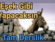 “EŞŞEK GİBİ YAPACAKSIN “sözünün ibretlik hikayesi. Mutlaka okuyalım