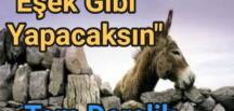“EŞŞEK GİBİ YAPACAKSIN “sözünün ibretlik hikayesi. Mutlaka okuyalım