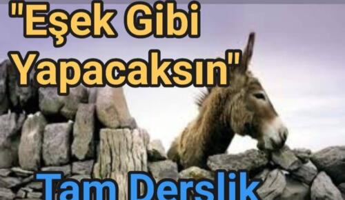 “EŞŞEK GİBİ YAPACAKSIN “sözünün ibretlik hikayesi. Mutlaka okuyalım