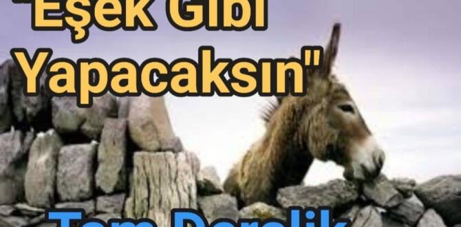 “EŞŞEK GİBİ YAPACAKSIN “sözünün ibretlik hikayesi. Mutlaka okuyalım