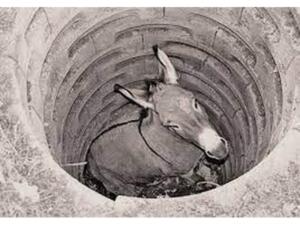 Eşek gibi yapacaksın sözü insanları çok iğneleyici gelse bile aslında bu sözün çok derin manaları olduğunu öğrenmem için bugünlere gelmem gerekiyordu.
Zamanın birinde adam eşiyle birlikte arazide gezerken derin bir kuyunun içerisine eşeğini düşürmüş. Eşeği kuyudan çıkaramayacağını anlayan adam zaten yaşlıydı bir işime yaramaz diyerekten köylüden eşeğin üzerine toprak atılıp gömülmesi için yardım almaya gitmiş.
Toplandığı köylüler küreklerini kapıp eşeğin düştüğü kuyunun başına gelmişler. Başlamışlar teker teker eşeğin üzerine toprak atmaya. Her atılan kürek toprak eşeğin üzerine düştükçe eşek Silkelenmiş toprak ayaklarının üstüne düşmüş bunu yapan köylüler en sonunda her sirk elenme sonucunda eşek Toprakları basamak yaparak yaparak kuyudan çıkmayı başarmış.
Bu hikayeden yola çıkarak başımıza ne gelirse gelsin her zorlukta ve her şartlarda şerden bir hayır çıkarmayı,, uğradığımız haksızlıklar üzerimize atılan taşlardan kendimize duvar örmeyi, üzerimize atılan topraklardan kendimize merdiven yapmayı yaşadığımız zorluklardan sıyrılıp çıkmayı mücadele etmekten vazgeçmemeyi ￼ kurtuluş yolu seçmeliyiz. ￼
Kendine güvenen kendine inanan bildiği doğrudan vazgeçmeyen ve kendisini olduğu gibi kabullenip hata ve kusurlarıyla seven bir insan asla karakterini hangi şartlar ve ortamlar olursa olsun değiştirmez. ￼ bu yolda gidersen hata bile yapsan pişman olmazsın yaşadıklarından pişmanlık duymazsın hiçbir zaman özür dilemek zorunda da kalmazsın.
Yukarıda anlattığımız kuyuya düşen eşek hikayesinde sorgulamamız gereken aslında kuyuda mahsur kalan eşeğin mağduriyeti ve çabasından ziyade benim dikkatimi çeken sahibinin ona olan vefasızlığı sadakatsizliği ve vicdansızca ihanetidir.
Şöyle bir inceden düşünürsek hayatı boyunca sahibine hizmet etmiş yükünü taşımış hesapsızca ve sorgusuzca ona bağlı kalmış ve emrinde yaşamış bir emanet canı kurtarmak yerine onu çaresizliğe mahkum etmesi sahibine ne kazandırdı?
Buna ben cevap veriyim yaşlandı diye vazgeçtiği eşeği , çaresizlik içinde bıraktığı￼ bir emanet canı vebalini unutarak işe yaramaz görmesi artık ondan bir fayda sağlayamayacağını anlaması eşinin sahibinin ona yapılan eşekliği hak etmediğini net bir kanıtıdır.
￼ Zahmetsiz rahmet, Cefasız vefa, emeksiz ￼ sevinç, mutsuzluk yaşamadan da mutluluk olmaz.
En çok sevdiğim cümle, “kınama kınadığını yaşamadan ölmezsin “
￼￼ Ezilen ol zalim olma, alacağın olsun ama vereceğin olmasın,
￼￼￼ Yüce Rabbimizin yarattığı her canlı kıymetli, Yaradanı severiz yaradandan ötürü diyerek bizi vebal altında bırakacak hiçbir eylem hareket tavır davranış için de bulunmadan bütün insan olmayı, insanca yaşamayı bütün canlıların hak ve hukukunu korumanın Allahın bize verdiği görev olduğunu Unutmadan vicdanlı, merhametli bütün canlılara karşı sevgi dolu yardımsever ve nazik davranmayı bilerek yaşamayı kendimize farz bilmeliyiz…..
￼ imtihan dünyasında hepimizin görevi belli olduğunu Unutmadan yaşamak ,Allah rızası kazanma yolunda rehberimiz olsun…
Güzelliğine güvenme bir sivilce yeter, malına güvenme bir kıvılcım yeter ;
Başka yazılarımda görüşmek üzere sevgiler selamlar
Yazar:Arzu gül Bostancı