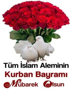 Kurban Bayramı'nın Anlamı ve DayanağıHz. İbrahim ve Hz. İsmail Kıssası: Kurban ibadeti, Hz. İbrahim'in rüyasında oğlunu kurban etmesi emredilmesini ve hem kendisinin hem de oğlu Hz. İsmail'in bu ilahi emre tam teslimiyet göstermesini simgeler.